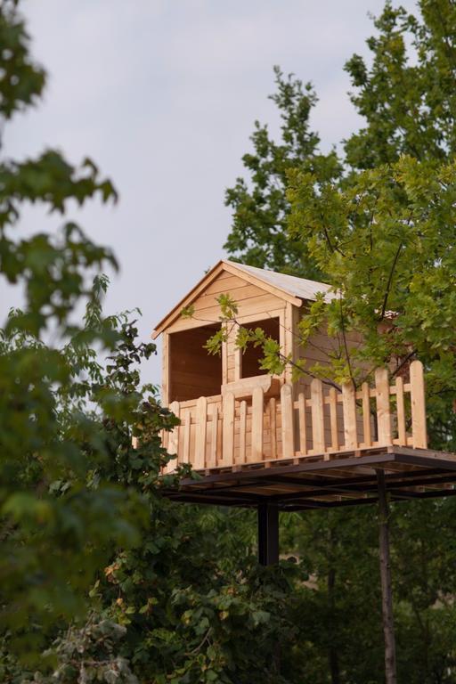 Agriturismo Da Mamma Alba  Ngoại thất bức ảnh