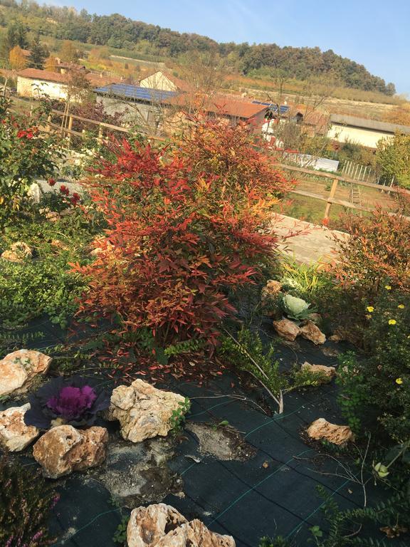 Agriturismo Da Mamma Alba  Ngoại thất bức ảnh