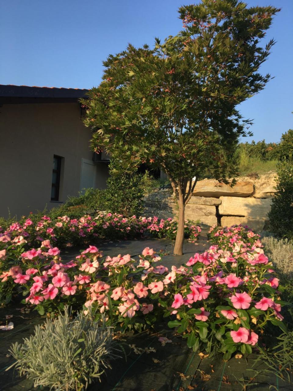 Agriturismo Da Mamma Alba  Ngoại thất bức ảnh