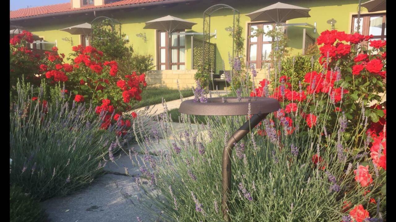 Agriturismo Da Mamma Alba  Ngoại thất bức ảnh